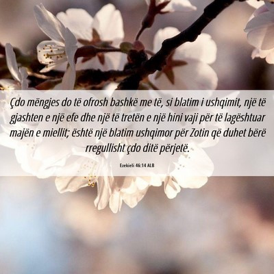 Picture 06 - Ezekieli 46:14 ALB - Çdo mëngjes do të ofrosh bashkë me të, si - Bible Verse Picture