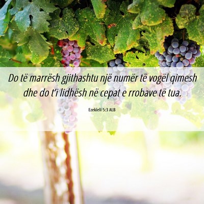 Picture 06 - Ezekieli 5:3 ALB - Do të marrësh gjithashtu një numër të vogël - Bible Verse Picture