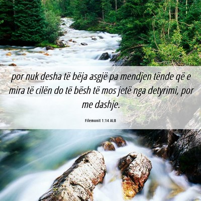 Picture 06 - Filemonit 1:14 ALB - por nuk desha të bëja asgjë pa mendjen tënde - Bible Verse Picture