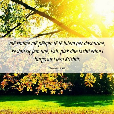 Picture 06 - Filemonit 1:9 ALB - më shumë më pëlqen të të lutem për - Bible Verse Picture