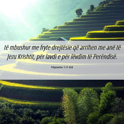 Picture 06 - Filipianëve 1:11 ALB - të mbushur me fryte drejtësie që arrihen me - Bible Verse Picture