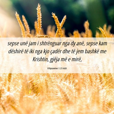 Picture 06 - Filipianëve 1:23 ALB - sepse unë jam i shtrënguar nga dy anë, sepse - Bible Verse Picture