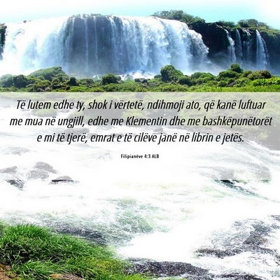 Picture 06 - Filipianëve 4:3 ALB - Të lutem edhe ty, shok i vërtetë, ndihmoji - Bible Verse Picture
