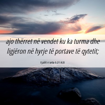 Picture 06 - Fjalët e urta 1:21 ALB - ajo thërret në vendet ku ka turma dhe ligjëron - Bible Verse Picture