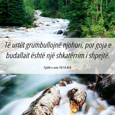 Picture 06 - Fjalët e urta 10:14 ALB - Të urtët grumbullojnë njohuri, por goja e - Bible Verse Picture