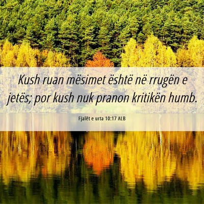 Picture 06 - Fjalët e urta 10:17 ALB - Kush ruan mësimet është në rrugën e jetës; - Bible Verse Picture