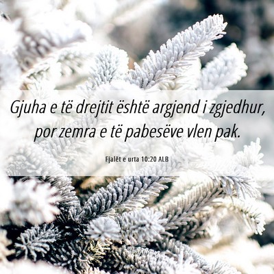 Picture 06 - Fjalët e urta 10:20 ALB - Gjuha e të drejtit është argjend i zgjedhur, - Bible Verse Picture