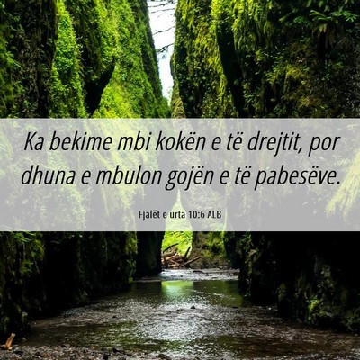 Picture 06 - Fjalët e urta 10:6 ALB - Ka bekime mbi kokën e të drejtit, por dhuna e - Bible Verse Picture