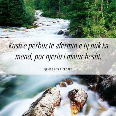 Picture 06 - Fjalët e urta 11:12 ALB - Kush e përbuz të afërmin e tij nuk ka mend, - Bible Verse Picture