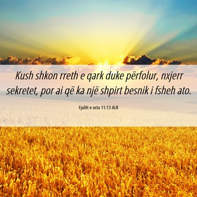 Picture 06 - Fjalët e urta 11:13 ALB - Kush shkon rreth e qark duke përfolur, nxjerr - Bible Verse Picture