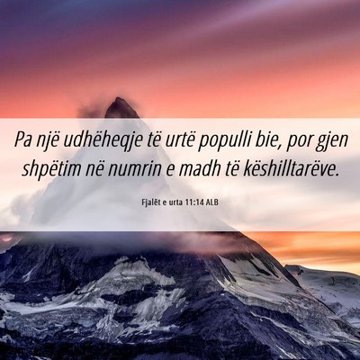 Picture 06 - Fjalët e urta 11:14 ALB - Pa një udhëheqje të urtë populli bie, por - Bible Verse Picture