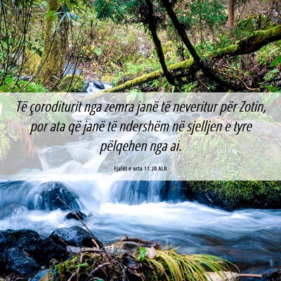 Picture 06 - Fjalët e urta 11:20 ALB - Të çoroditurit nga zemra janë të neveritur - Bible Verse Picture