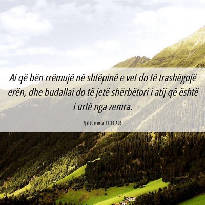 Picture 06 - Fjalët e urta 11:29 ALB - Ai që bën rrëmujë në shtëpinë e vet do të - Bible Verse Picture