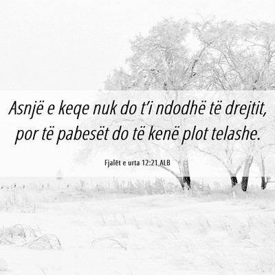 Picture 06 - Fjalët e urta 12:21 ALB - Asnjë e keqe nuk do t’i ndodhë të drejtit, - Bible Verse Picture