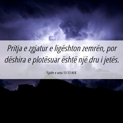 Picture 06 - Fjalët e urta 13:12 ALB - Pritja e zgjatur e ligështon zemrën, por - Bible Verse Picture