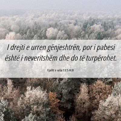 Picture 06 - Fjalët e urta 13:5 ALB - I drejti e urren gënjeshtrën, por i pabesi - Bible Verse Picture