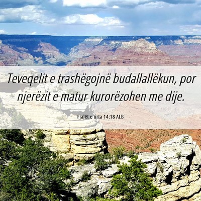 Picture 06 - Fjalët e urta 14:18 ALB - Teveqelit e trashëgojnë budallallëkun, por - Bible Verse Picture