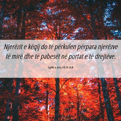 Picture 06 - Fjalët e urta 14:19 ALB - Njerëzit e këqij do të përkulen përpara - Bible Verse Picture