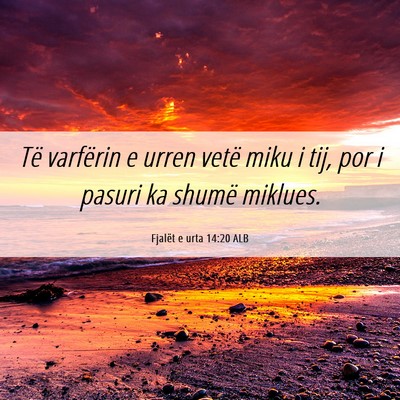 Picture 06 - Fjalët e urta 14:20 ALB - Të varfërin e urren vetë miku i tij, por i - Bible Verse Picture