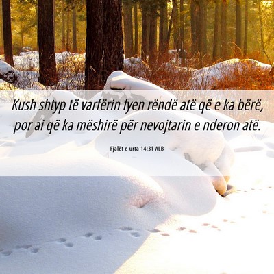 Picture 06 - Fjalët e urta 14:31 ALB - Kush shtyp të varfërin fyen rëndë atë që e - Bible Verse Picture