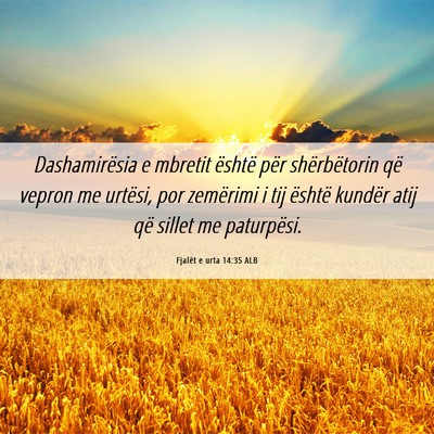 Picture 06 - Fjalët e urta 14:35 ALB - Dashamirësia e mbretit është për - Bible Verse Picture