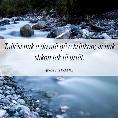 Picture 06 - Fjalët e urta 15:12 ALB - Tallësi nuk e do atë që e kritikon; ai nuk - Bible Verse Picture