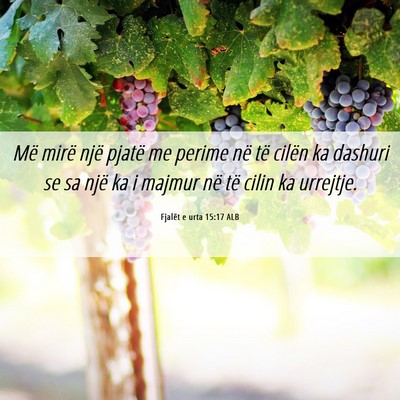 Picture 06 - Fjalët e urta 15:17 ALB - Më mirë një pjatë me perime në të cilën ka - Bible Verse Picture