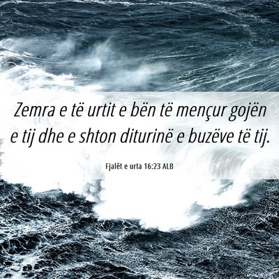 Picture 06 - Fjalët e urta 16:23 ALB - Zemra e të urtit e bën të mençur gojën e tij - Bible Verse Picture