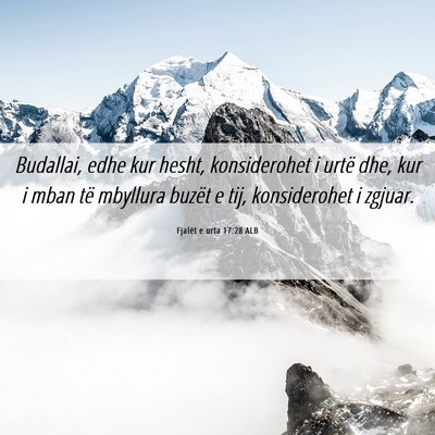 Picture 06 - Fjalët e urta 17:28 ALB - Budallai, edhe kur hesht, konsiderohet i urtë - Bible Verse Picture