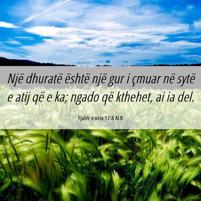 Picture 06 - Fjalët e urta 17:8 ALB - Një dhuratë është një gur i çmuar në sytë - Bible Verse Picture
