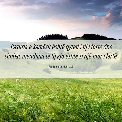 Picture 06 - Fjalët e urta 18:11 ALB - Pasuria e kamësit është qyteti i tij i fortë - Bible Verse Picture