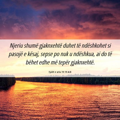Picture 06 - Fjalët e urta 19:19 ALB - Njeriu shumë gjaknxehtë duhet të ndëshkohet - Bible Verse Picture