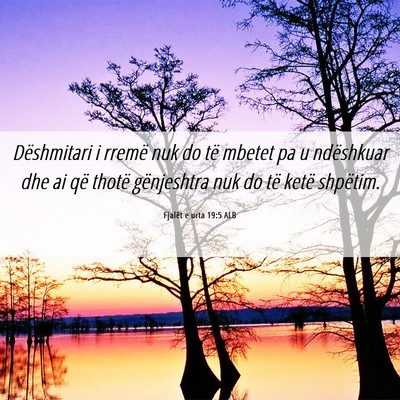 Picture 06 - Fjalët e urta 19:5 ALB - Dëshmitari i rremë nuk do të mbetet pa u - Bible Verse Picture