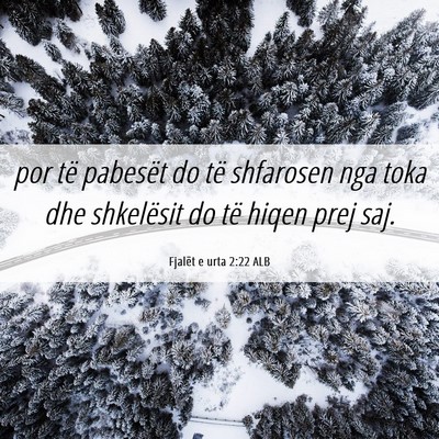 Picture 06 - Fjalët e urta 2:22 ALB - por të pabesët do të shfarosen nga toka dhe - Bible Verse Picture