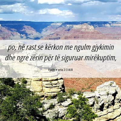 Picture 06 - Fjalët e urta 2:3 ALB - po, në rast se kërkon me ngulm gjykimin dhe - Bible Verse Picture
