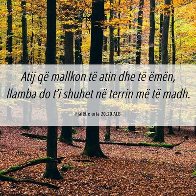 Picture 06 - Fjalët e urta 20:20 ALB - Atij që mallkon të atin dhe të ëmën, llamba - Bible Verse Picture