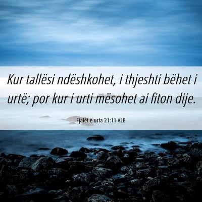 Picture 06 - Fjalët e urta 21:11 ALB - Kur tallësi ndëshkohet, i thjeshti bëhet i - Bible Verse Picture