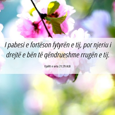 Picture 06 - Fjalët e urta 21:29 ALB - I pabesi e fortëson fytyrën e tij, por njeriu i - Bible Verse Picture