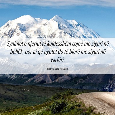 Picture 06 - Fjalët e urta 21:5 ALB - Synimet e njeriut të kujdesshëm çojnë me - Bible Verse Picture