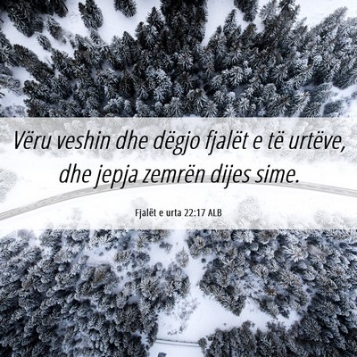 Picture 06 - Fjalët e urta 22:17 ALB - Vëru veshin dhe dëgjo fjalët e të urtëve, - Bible Verse Picture