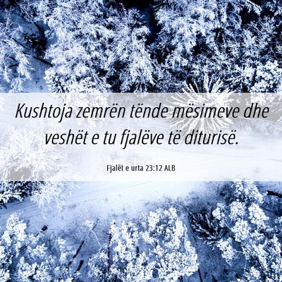 Picture 06 - Fjalët e urta 23:12 ALB - Kushtoja zemrën tënde mësimeve dhe veshët e - Bible Verse Picture