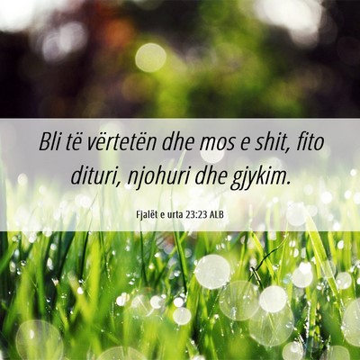 Picture 06 - Fjalët e urta 23:23 ALB - Bli të vërtetën dhe mos e shit, fito dituri, - Bible Verse Picture