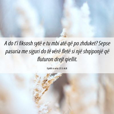 Picture 06 - Fjalët e urta 23:5 ALB - A do t’i fiksosh sytë e tu mbi atë që po - Bible Verse Picture