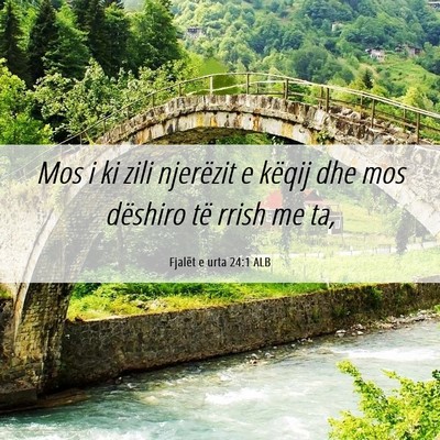 Picture 06 - Fjalët e urta 24:1 ALB - Mos i ki zili njerëzit e këqij dhe mos dëshiro - Bible Verse Picture