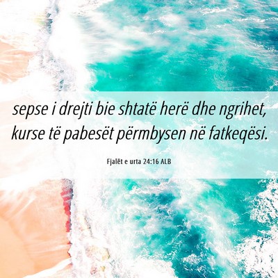 Picture 06 - Fjalët e urta 24:16 ALB - sepse i drejti bie shtatë herë dhe ngrihet, - Bible Verse Picture