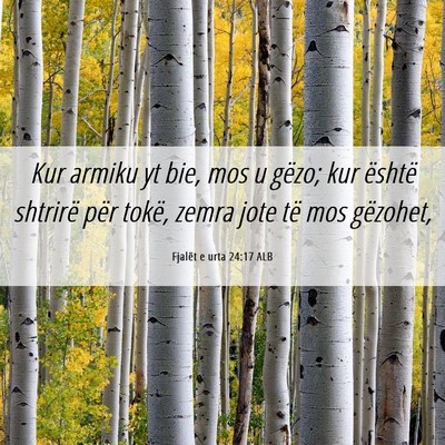 Picture 06 - Fjalët e urta 24:17 ALB - Kur armiku yt bie, mos u gëzo; kur është - Bible Verse Picture