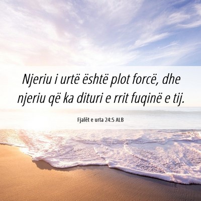 Picture 06 - Fjalët e urta 24:5 ALB - Njeriu i urtë është plot forcë, dhe njeriu - Bible Verse Picture