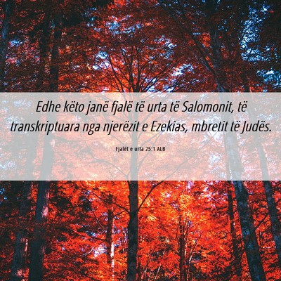 Picture 06 - Fjalët e urta 25:1 ALB - Edhe këto janë fjalë të urta të Salomonit, - Bible Verse Picture