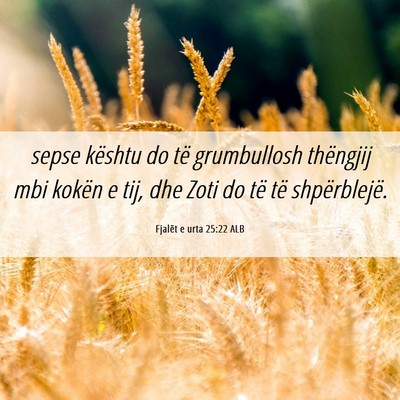 Picture 06 - Fjalët e urta 25:22 ALB - sepse kështu do të grumbullosh thëngjij mbi - Bible Verse Picture