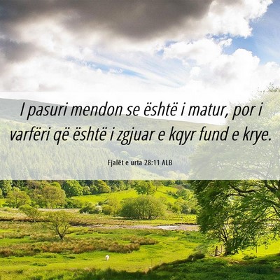 Picture 06 - Fjalët e urta 28:11 ALB - I pasuri mendon se është i matur, por i - Bible Verse Picture